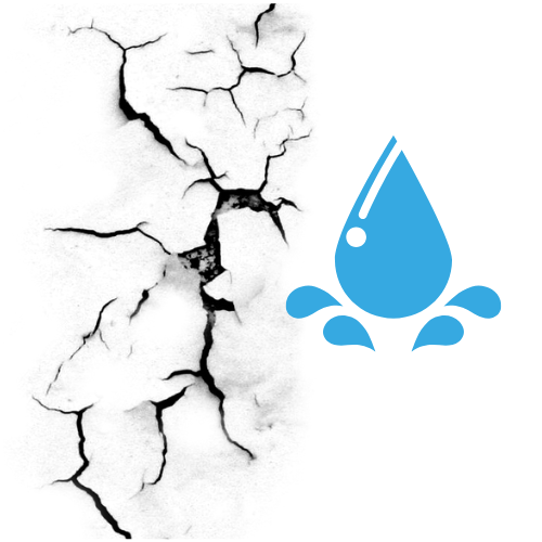 Water Damage & Mold Help